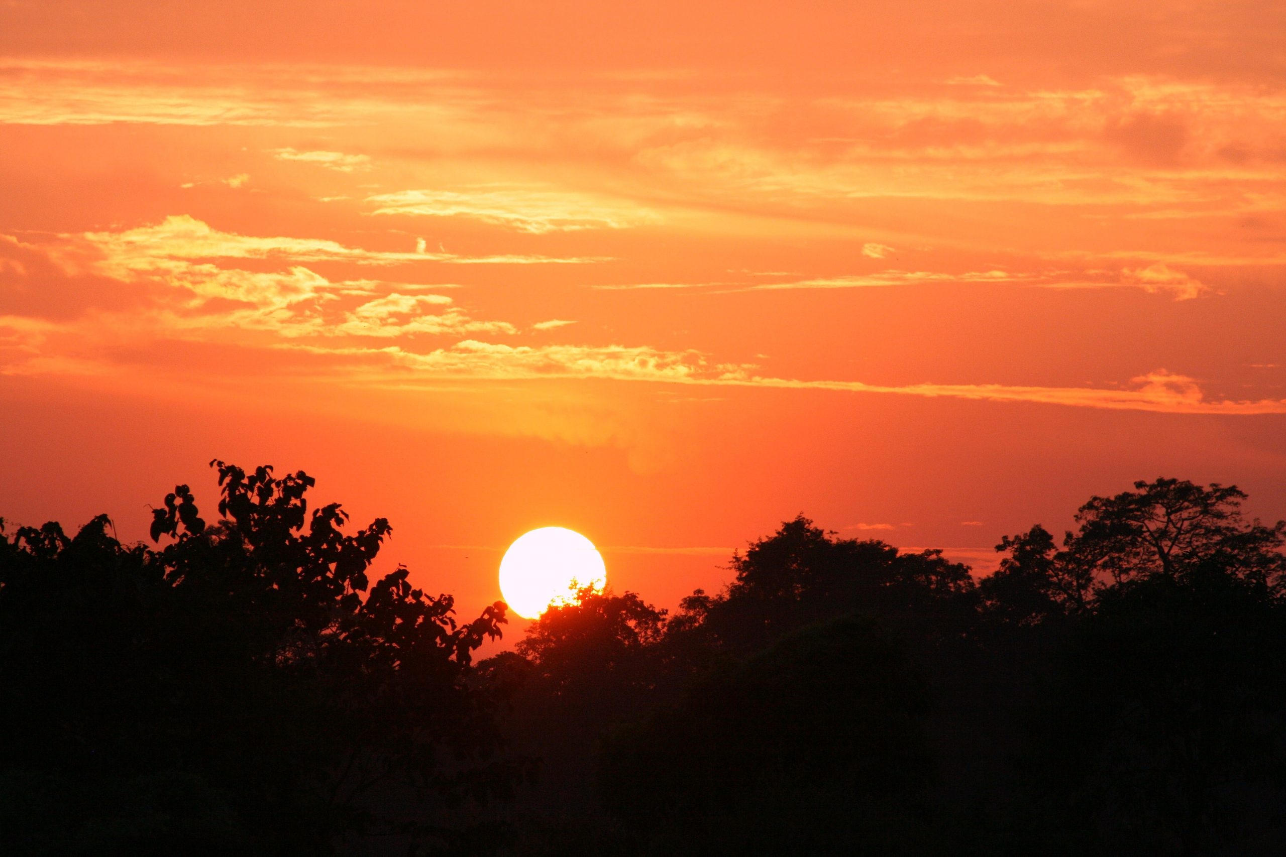Chitwan National Park